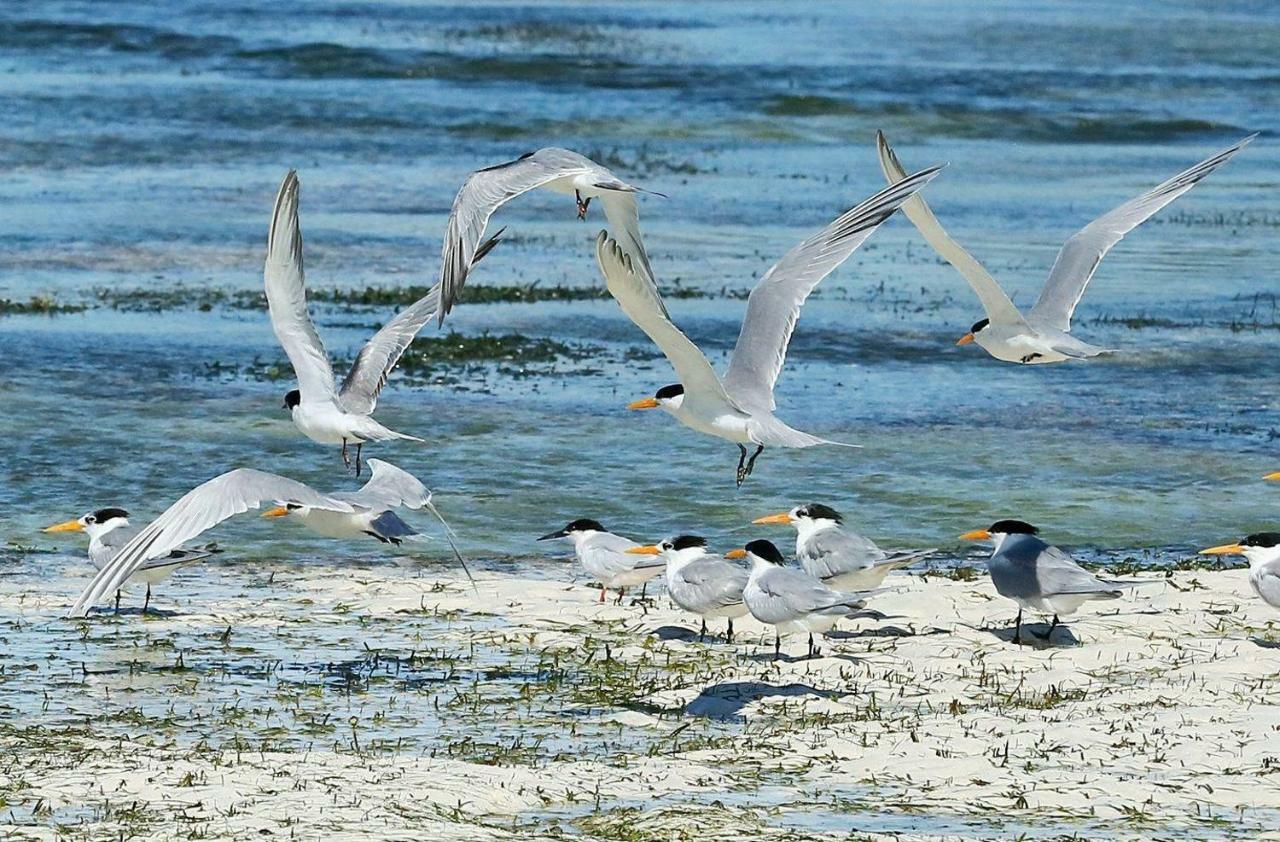 Rafiki Village Watamu Exteriör bild
